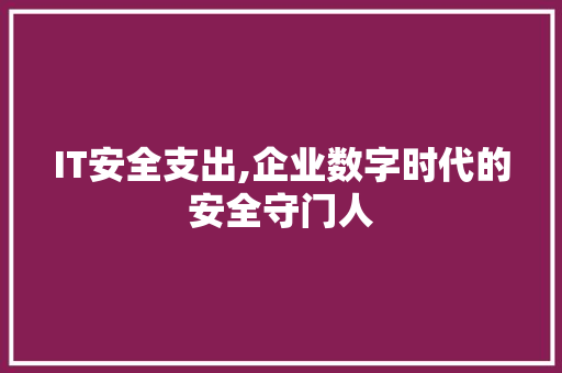 IT安全支出,企业数字时代的安全守门人