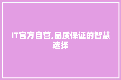IT官方自营,品质保证的智慧选择