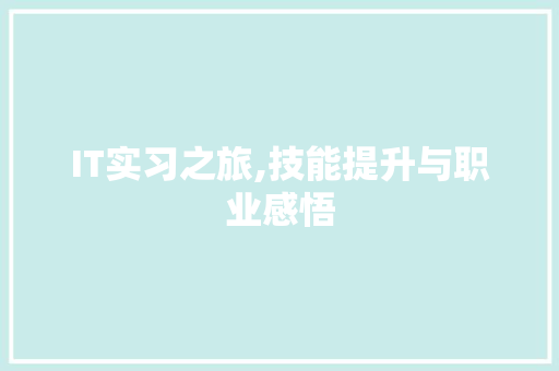 IT实习之旅,技能提升与职业感悟