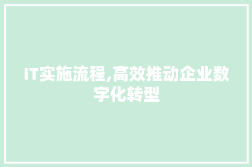 IT实施流程,高效推动企业数字化转型
