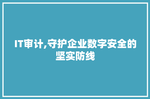 IT审计,守护企业数字安全的坚实防线