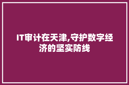 IT审计在天津,守护数字经济的坚实防线