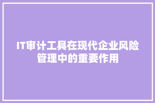 IT审计工具在现代企业风险管理中的重要作用