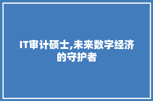 IT审计硕士,未来数字经济的守护者