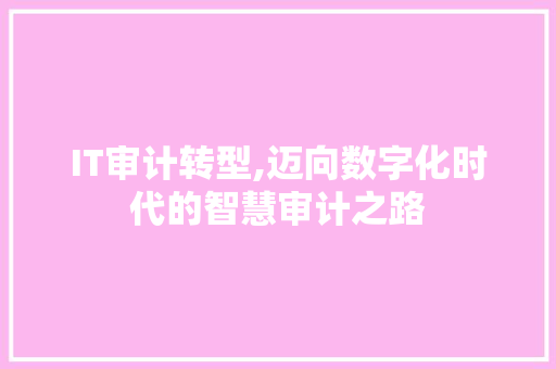IT审计转型,迈向数字化时代的智慧审计之路