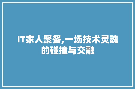 IT家人聚餐,一场技术灵魂的碰撞与交融