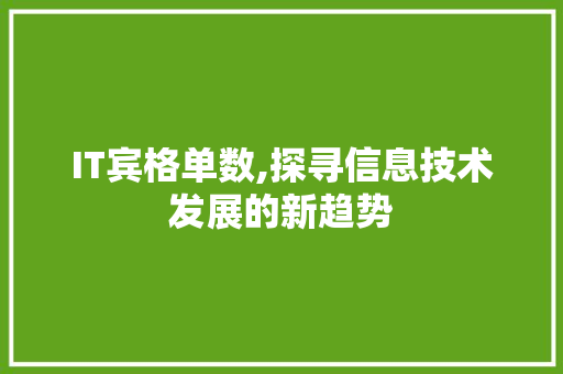 IT宾格单数,探寻信息技术发展的新趋势