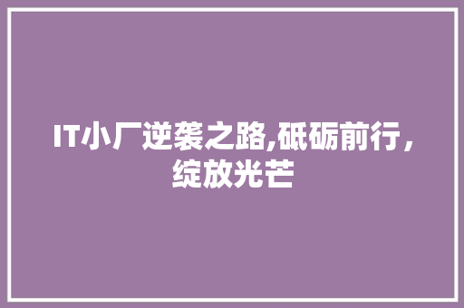 IT小厂逆袭之路,砥砺前行，绽放光芒