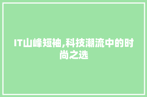 IT山峰短袖,科技潮流中的时尚之选