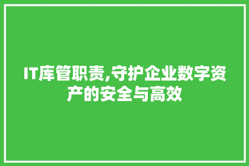 IT库管职责,守护企业数字资产的安全与高效
