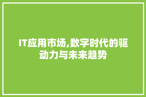 IT应用市场,数字时代的驱动力与未来趋势