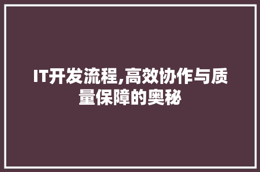IT开发流程,高效协作与质量保障的奥秘