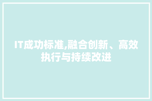 IT成功标准,融合创新、高效执行与持续改进