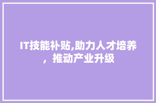 IT技能补贴,助力人才培养，推动产业升级