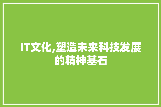 IT文化,塑造未来科技发展的精神基石