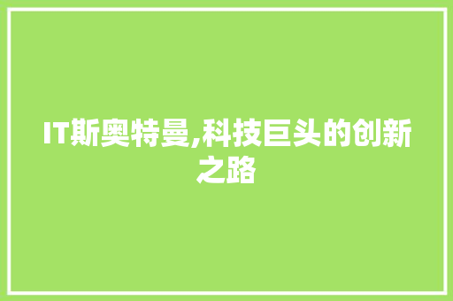 IT斯奥特曼,科技巨头的创新之路