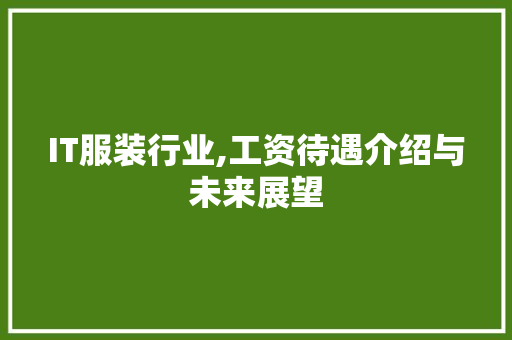 IT服装行业,工资待遇介绍与未来展望