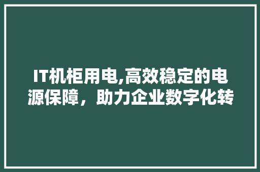 IT机柜用电,高效稳定的电源保障，助力企业数字化转型