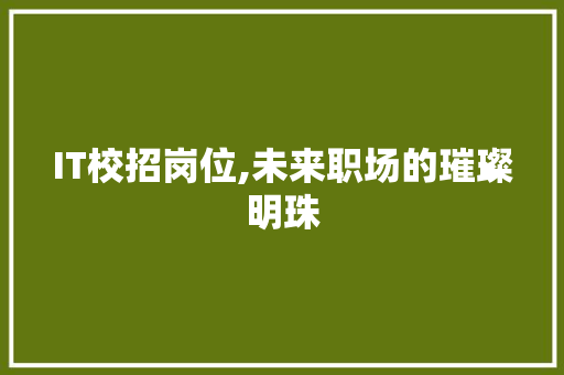 IT校招岗位,未来职场的璀璨明珠