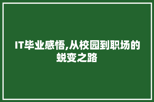 IT毕业感悟,从校园到职场的蜕变之路