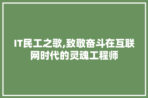 IT民工之歌,致敬奋斗在互联网时代的灵魂工程师