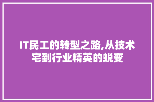 IT民工的转型之路,从技术宅到行业精英的蜕变