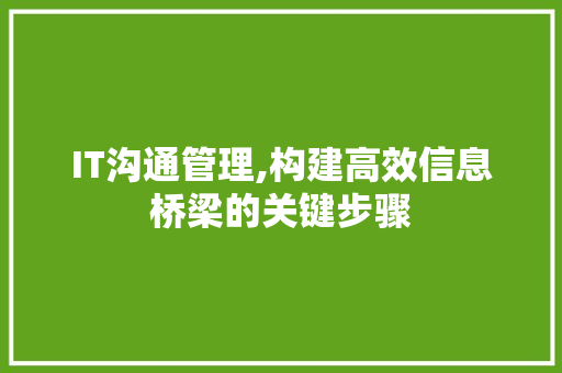 IT沟通管理,构建高效信息桥梁的关键步骤