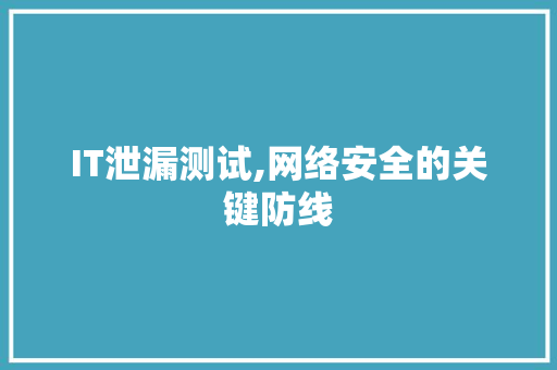 IT泄漏测试,网络安全的关键防线