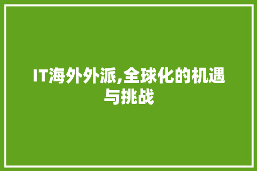 IT海外外派,全球化的机遇与挑战