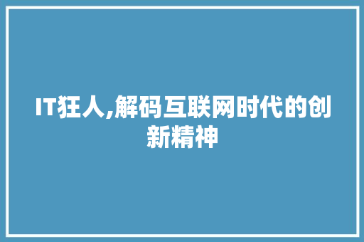 IT狂人,解码互联网时代的创新精神