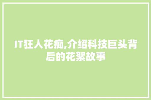 IT狂人花痴,介绍科技巨头背后的花絮故事