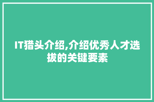 IT猎头介绍,介绍优秀人才选拔的关键要素