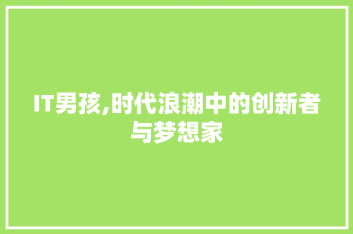 IT男孩,时代浪潮中的创新者与梦想家