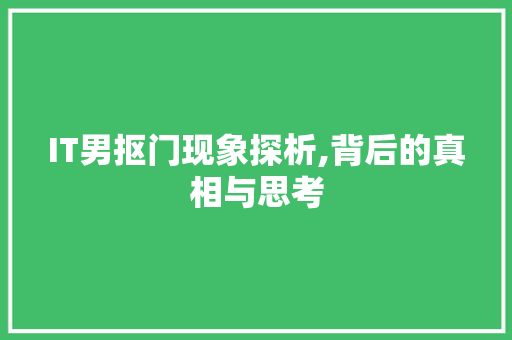 IT男抠门现象探析,背后的真相与思考