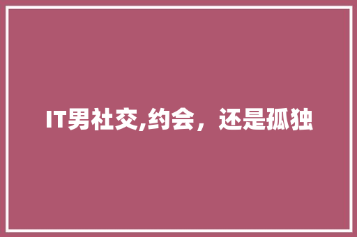 IT男社交,约会，还是孤独