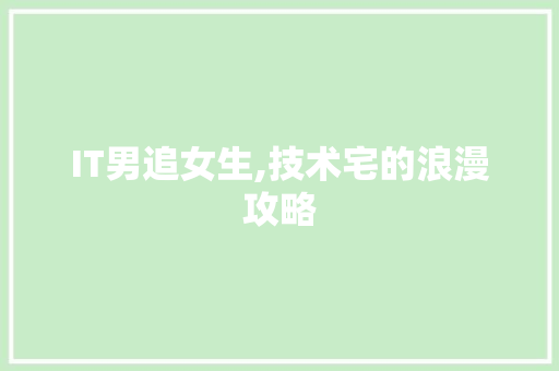 IT男追女生,技术宅的浪漫攻略