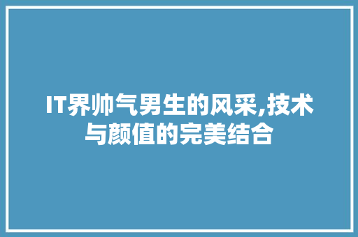 IT界帅气男生的风采,技术与颜值的完美结合