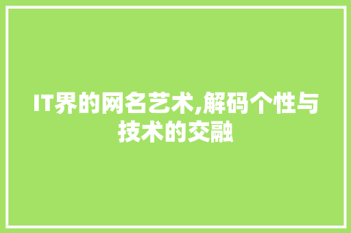 IT界的网名艺术,解码个性与技术的交融