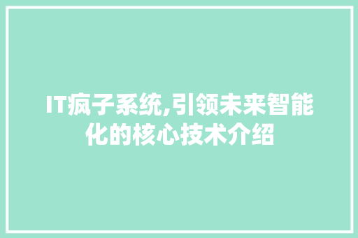 IT疯子系统,引领未来智能化的核心技术介绍