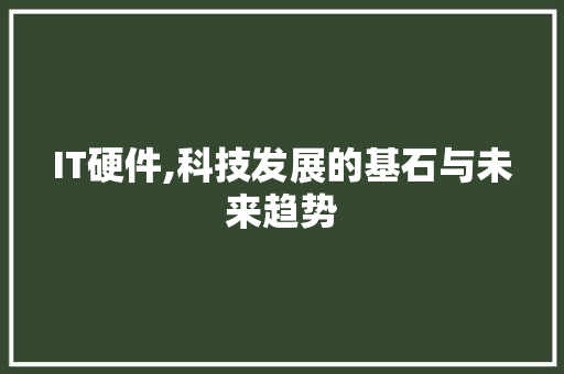 IT硬件,科技发展的基石与未来趋势