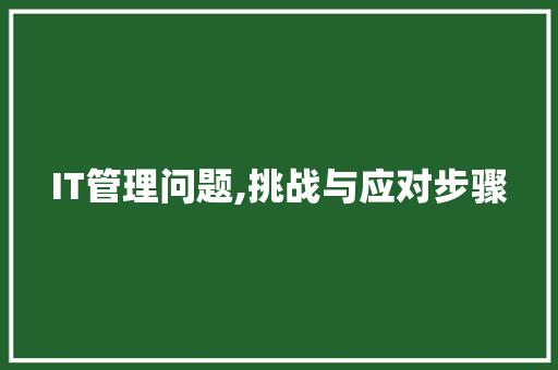 IT管理问题,挑战与应对步骤