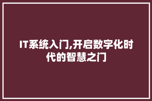 IT系统入门,开启数字化时代的智慧之门