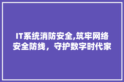 IT系统消防安全,筑牢网络安全防线，守护数字时代家园