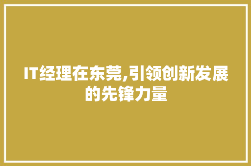 IT经理在东莞,引领创新发展的先锋力量