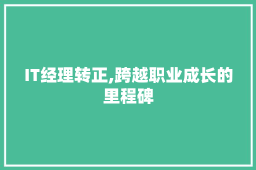 IT经理转正,跨越职业成长的里程碑