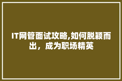IT网管面试攻略,如何脱颖而出，成为职场精英