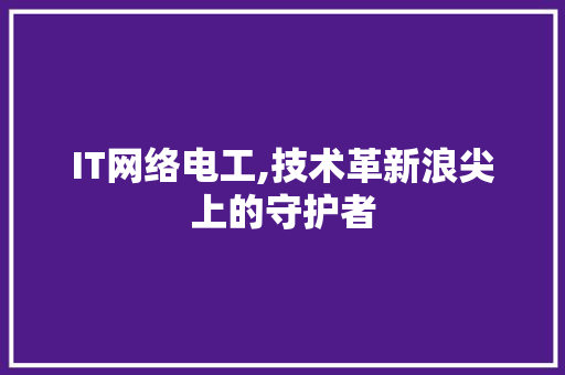 IT网络电工,技术革新浪尖上的守护者