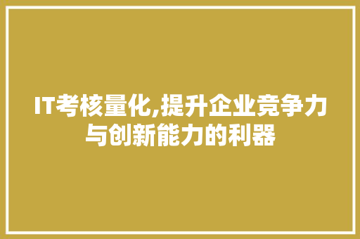 IT考核量化,提升企业竞争力与创新能力的利器