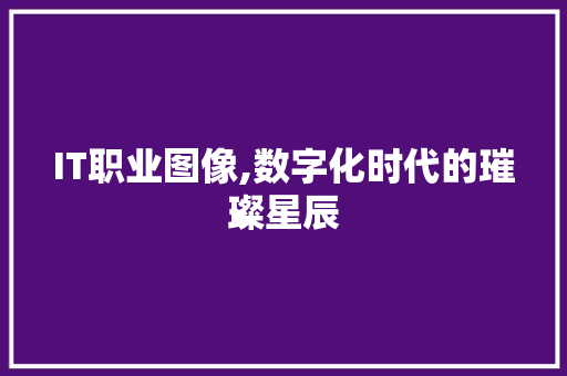 IT职业图像,数字化时代的璀璨星辰