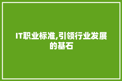 IT职业标准,引领行业发展的基石